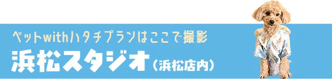 浜松スタジオ
