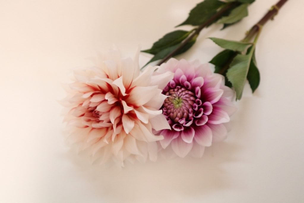 生花